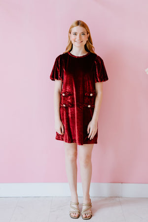 Velvet Chic Dress