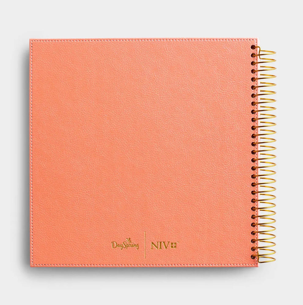 Illustrating Bible NIV: Books of Psalms & Proverbs