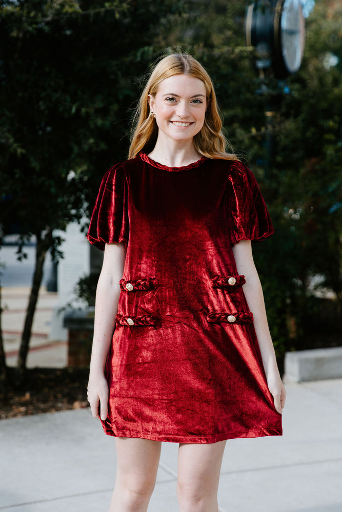 Velvet Chic Dress