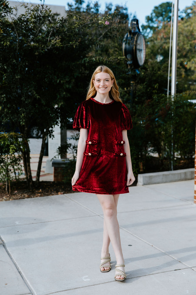 Velvet Chic Dress