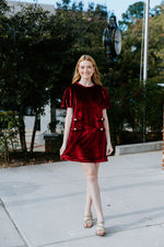 Velvet Chic Dress