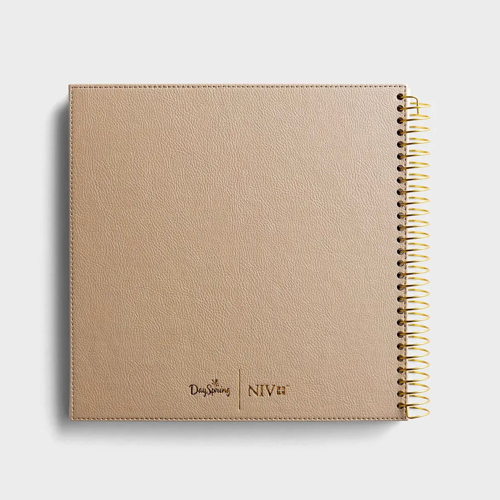 Illustrating Bible - The Gospels